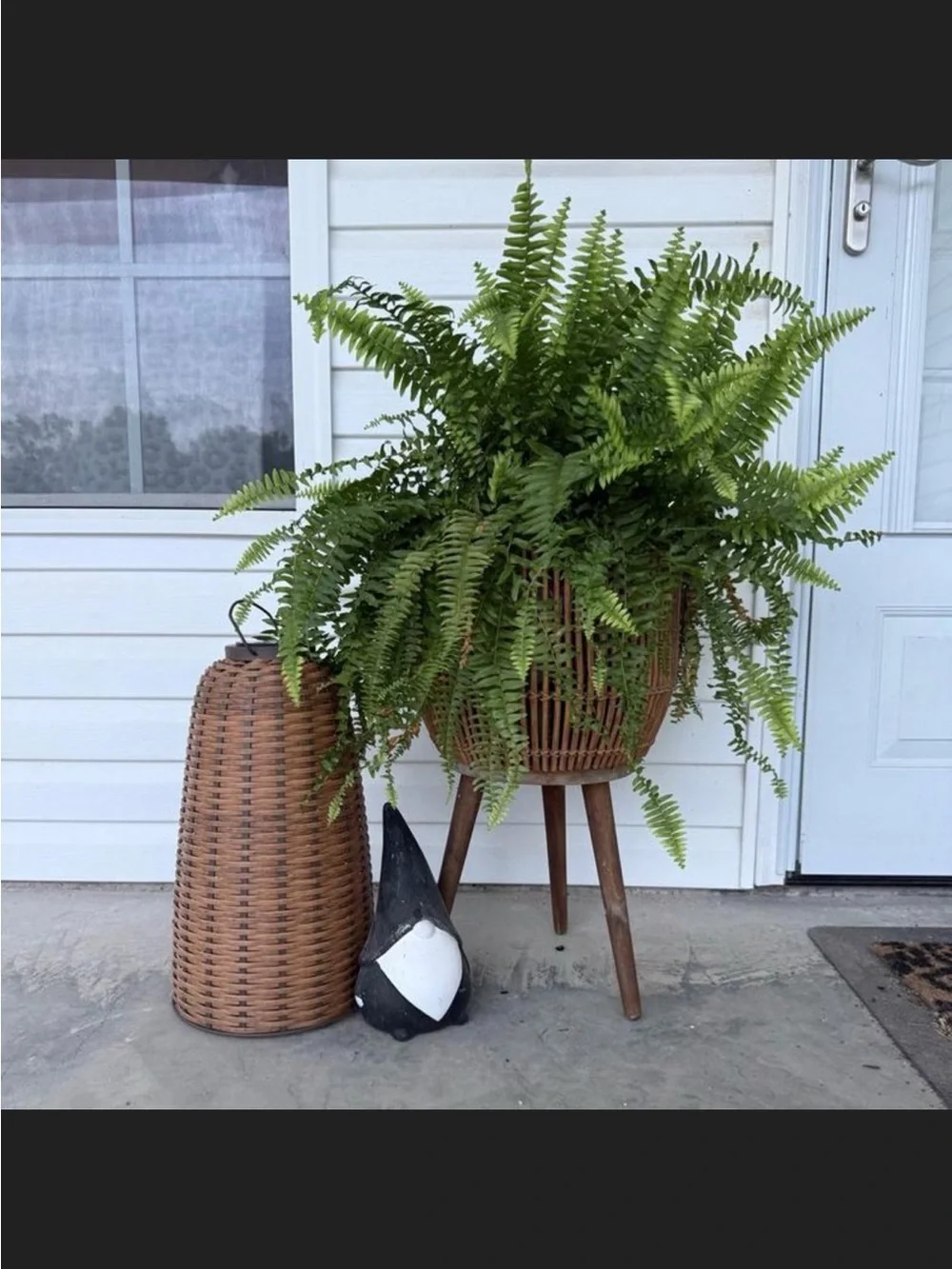 Woven Solar Lantern Tall - Hearth & Hand™ with Magnolia